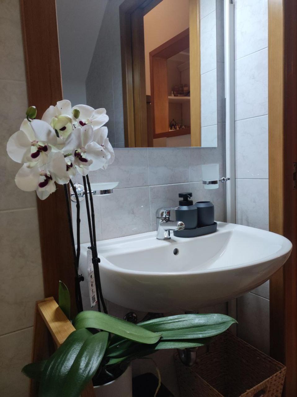 Casa Vacanza Gallipoli Centro 外观 照片