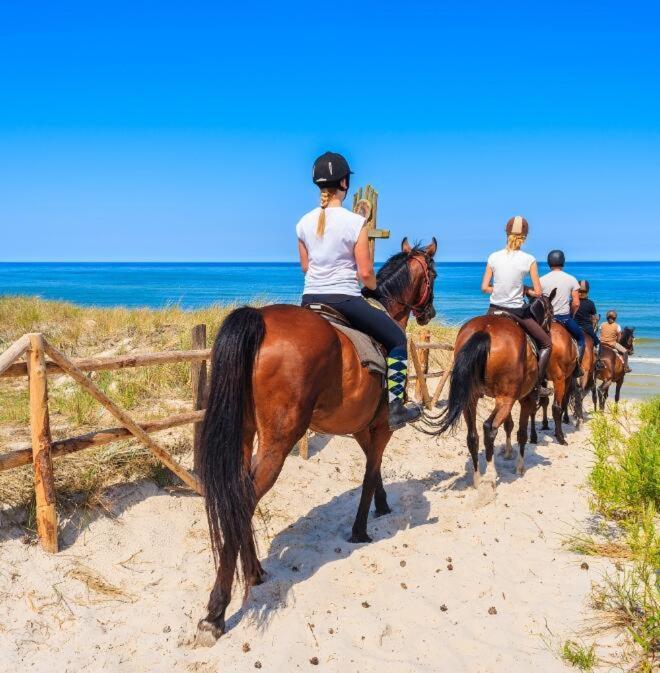 Casa Vacanza Gallipoli Centro 外观 照片